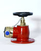 Fire Hydrants Valve